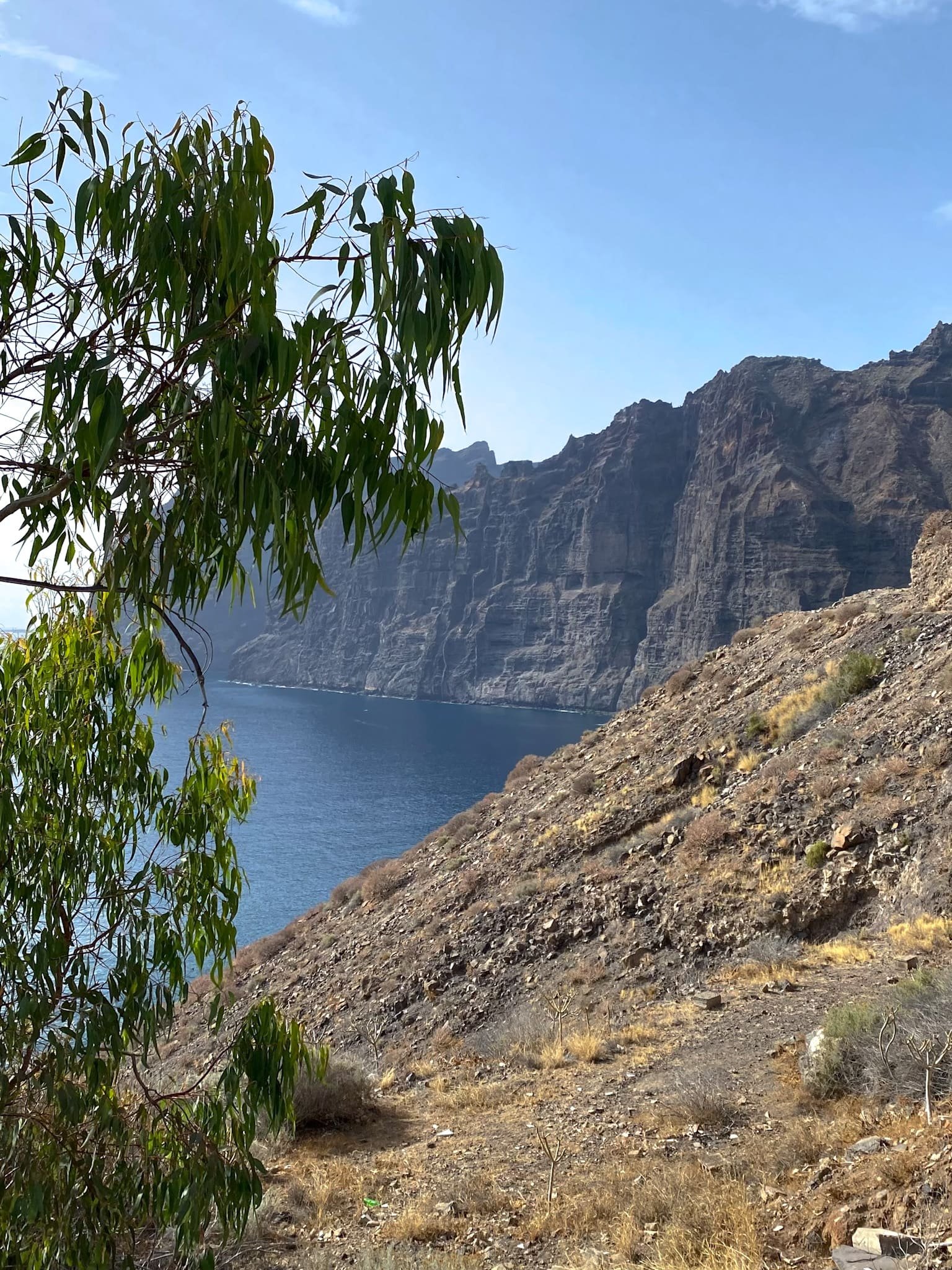 Acantilados de los Gigantes - Qué ver en Tenerife Sur