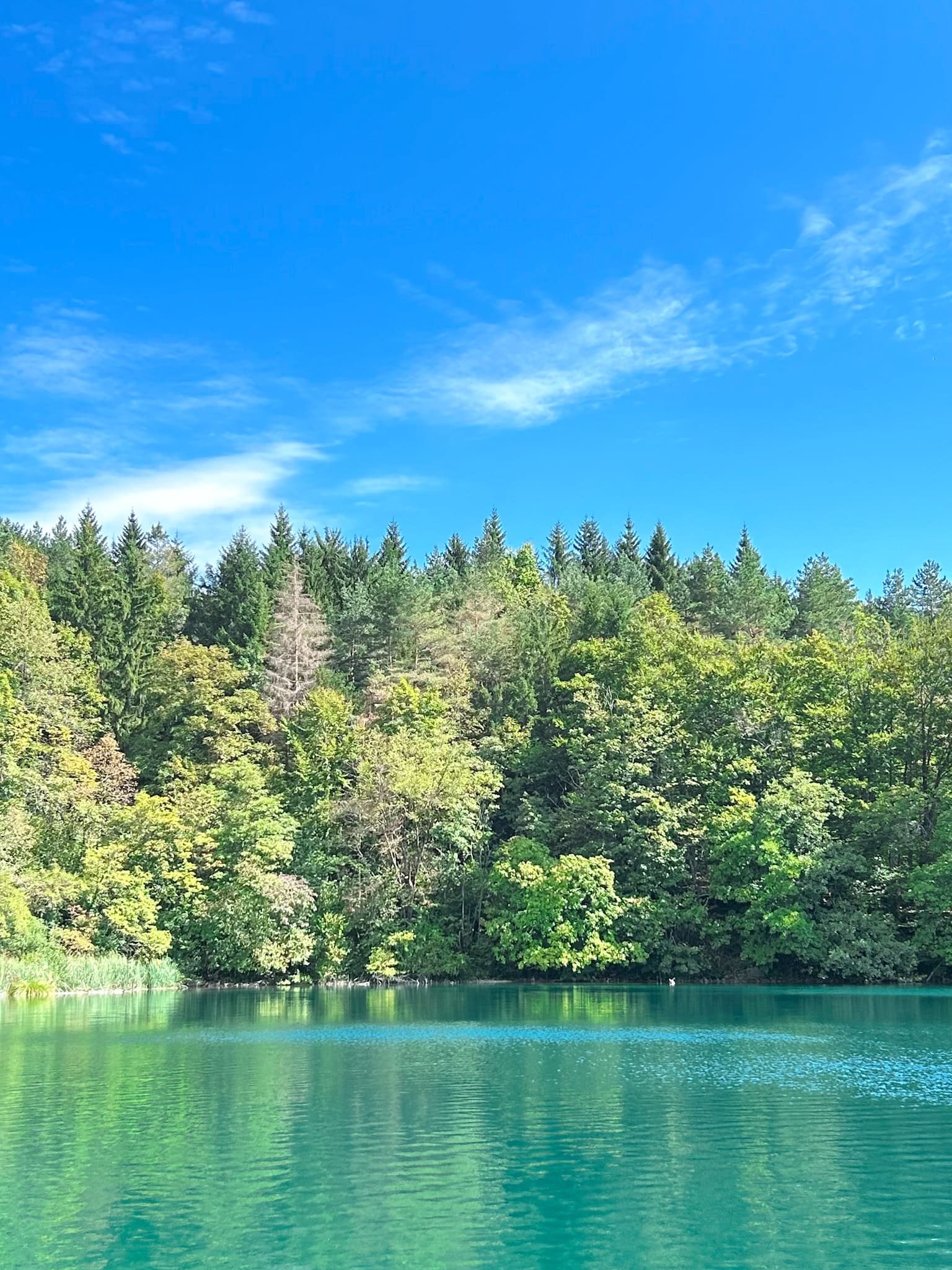 Paisaje de los Lagos de Plitvice Croacia